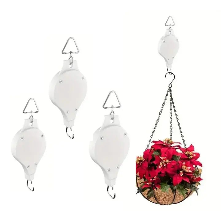 2+2 Gratis | Das elegante Pflanzen-Hängeset für dein Zuhause Zorenza
