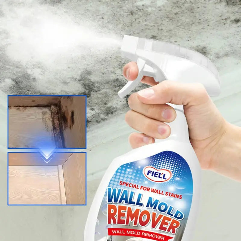 Anti-Schimmel Spray | Schnelle Wirkung, sicher für Zuhause Zorenza