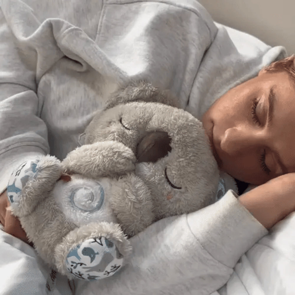 Koala Apaisant – Le compagnon du calme intérieur - Image 2