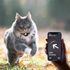 GPS-Halsband für Katzen mit Schnellverschluss und reflektierendem Design