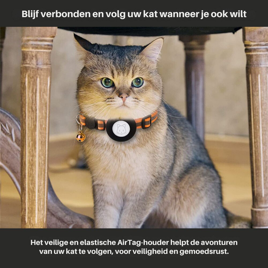 GPS-Halsband für Katzen mit Schnellverschluss und reflektierendem Design