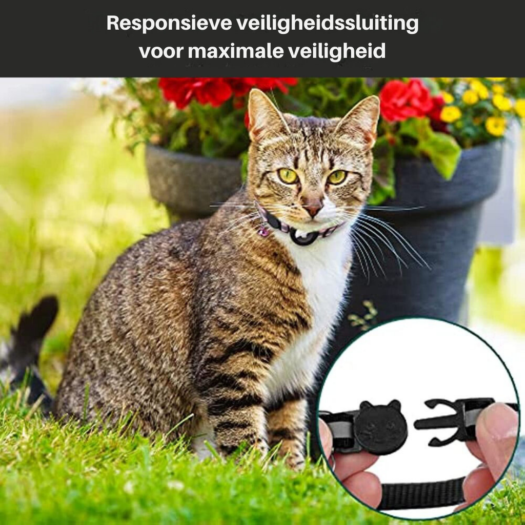 GPS-Halsband für Katzen mit Schnellverschluss und reflektierendem Design