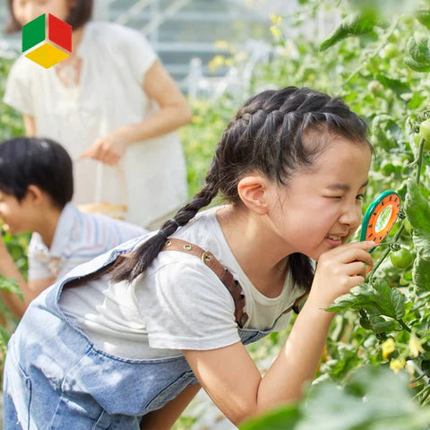 Insekten-Entdeckungsset für Kinder - aus sicherem Kunststoff, mit Lupe und Terrarien