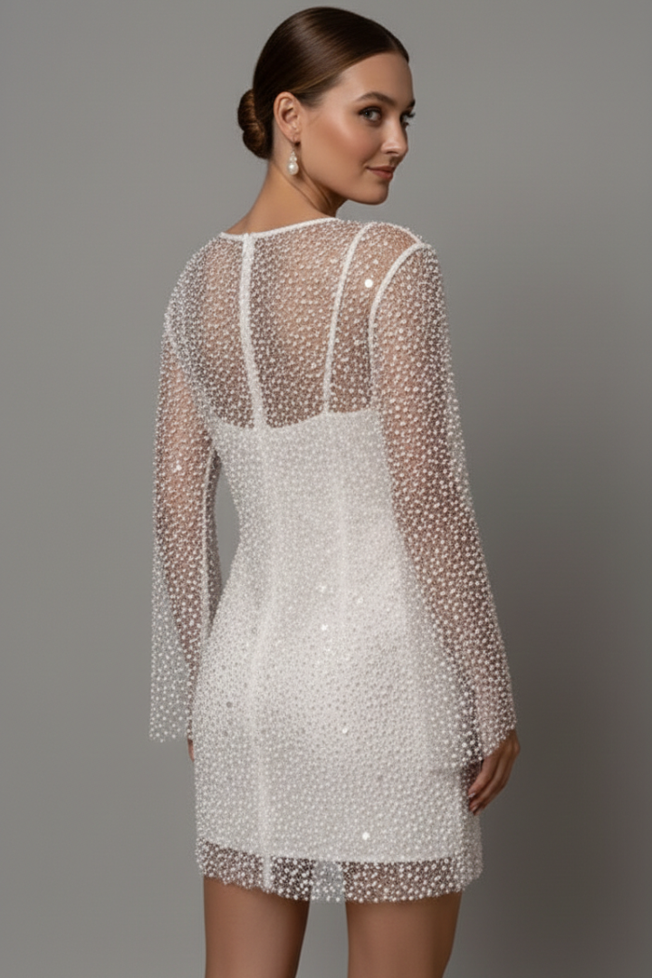 Damen Minikleid mit Mesh-Overlay und langen Ärmeln - Zweiteiliges Design mit ärmellosem Unterkleid und Rundhalsausschnitt